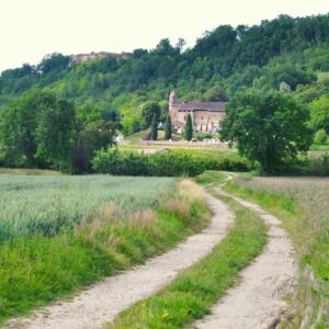 Le long des chemins de Piquecos